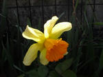 d7e228ca.jpg
