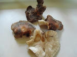 2f3c8e85.jpg