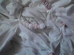 11-08-26_001.jpg