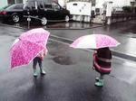 P1000391.JPG