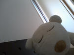 シロクマまくら