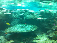 SN3F0166.jpg