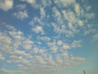 SN3F0183.jpg