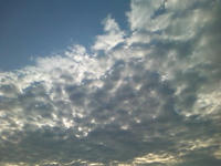 SN3F0184.jpg