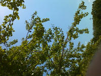 SN3F0207.jpg