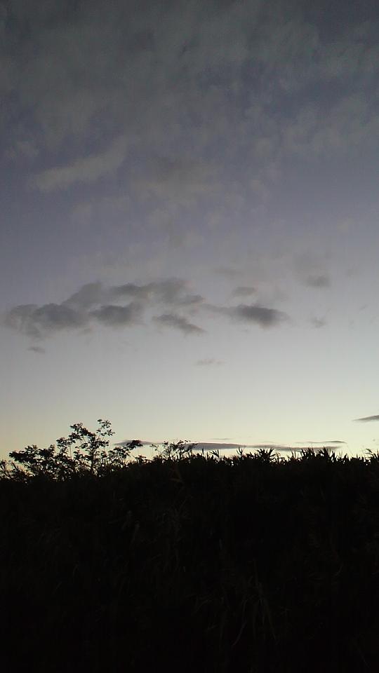 夕刻