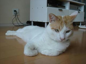 2007.6.29-4.JPG