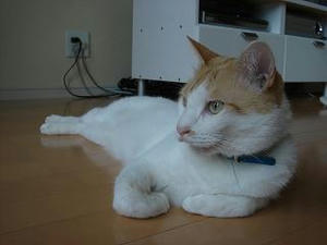 2007.6.29-5.JPG