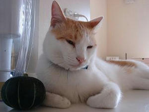 2007.7.10-7.JPG