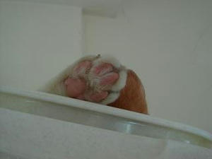 2007.7.14-5.JPG