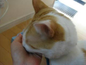 2007.7.14-6.JPG