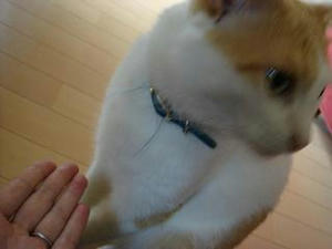 2007.7.14-7.JPG