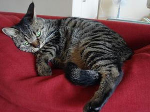 2007.7.25-3.JPG