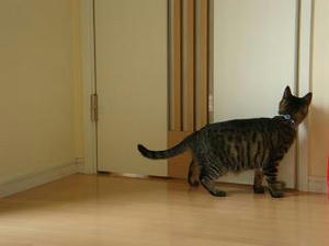 2007.8.2-2.JPG