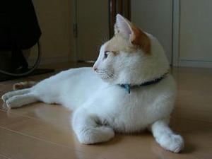 2007.8.4-1.JPG