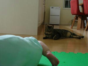 2007.8.11-1.JPG
