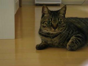 2007.8.11-2.JPG