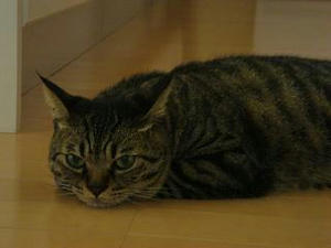 2007.8.11-4.JPG