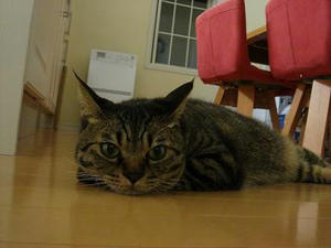 2007.8.11-5.JPG