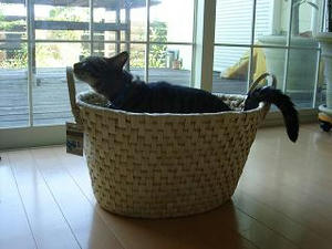 2007.8.113-1.JPG