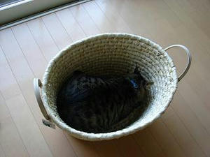 2007.8.13-2.JPG