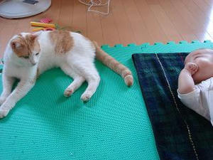 2007.8.20-6.JPG