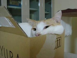 2007.9.15-1.JPG