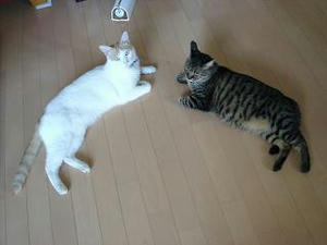 2007.9.18-4.JPG
