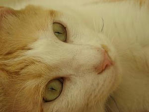 2007.9.23-1.JPG