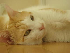 2007.9.23-3.JPG
