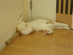 2007.9.23-6.JPG