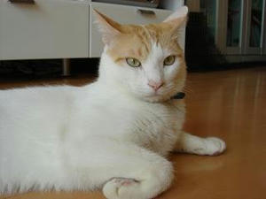 2007.9.28-3.JPG