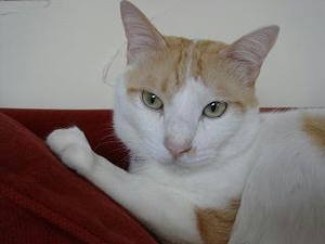 2007.10.9-6.JPG