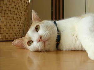 2007.10.15-6.JPG