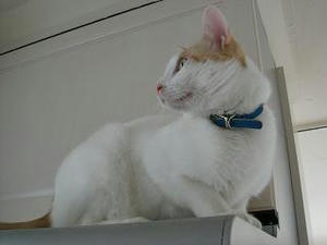 2007.10.21-5.JPG