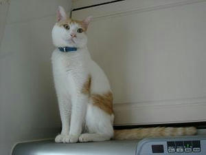 2007.10.21-6.JPG