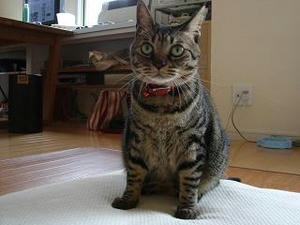2007.10.23-2.JPG