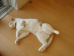 2007.10.23-5.JPG