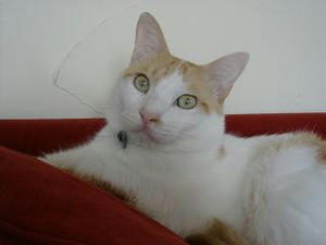 2007.10.23-7.JPG