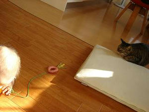 2007.10.24-3.JPG