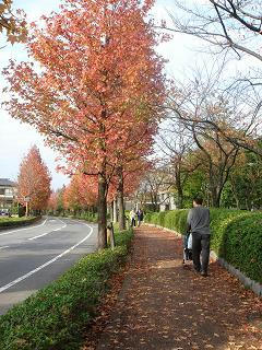 2007.10.31-4.JPG
