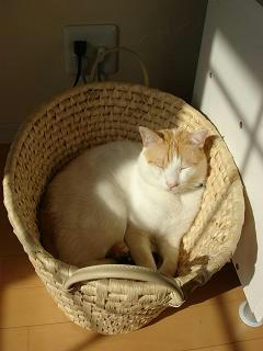 2007.10.31-6.JPG