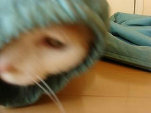 2007.12.12-3.JPG
