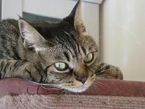 2008.2.5-5.JPG