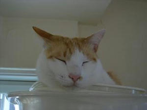 2008.3.5-8.JPG