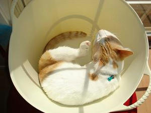 2008.3.13-3.JPG