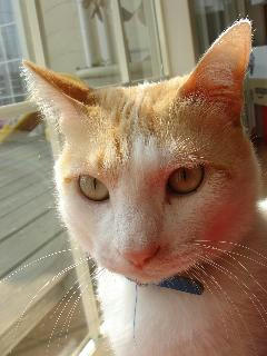 2008.3.13-4.JPG