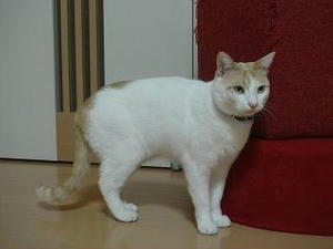 2008.3.24-8.JPG