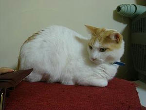 2008.3.27-2.JPG