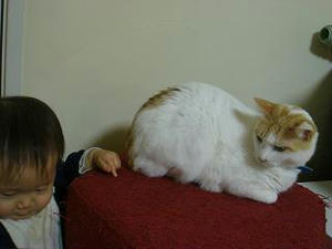 2008.3.27-3.JPG